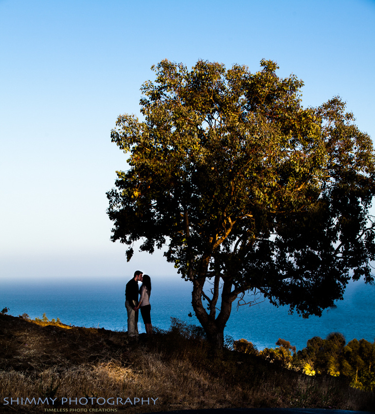 Los ángeles engagement and wedding photography